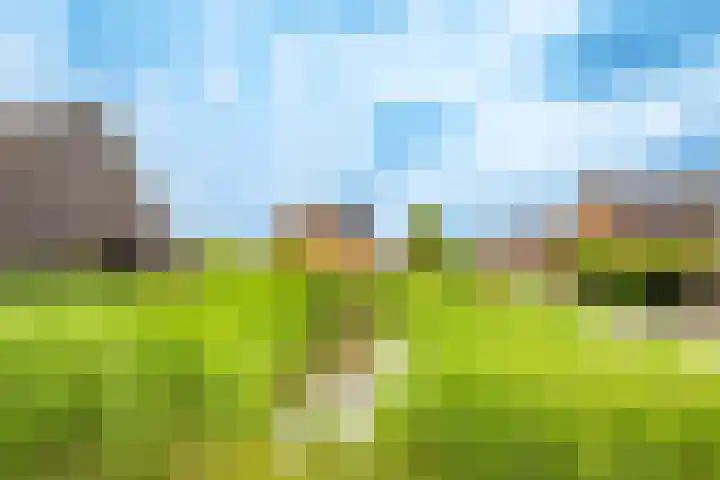 Viswater 17 Houten thumbnail 39