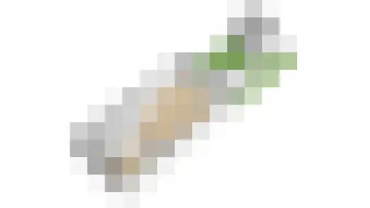 Viswater 17 Houten thumbnail 54