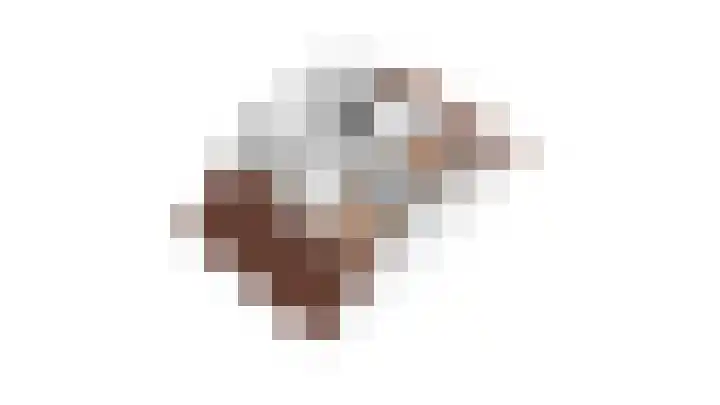 Viswater 17 Houten thumbnail 57