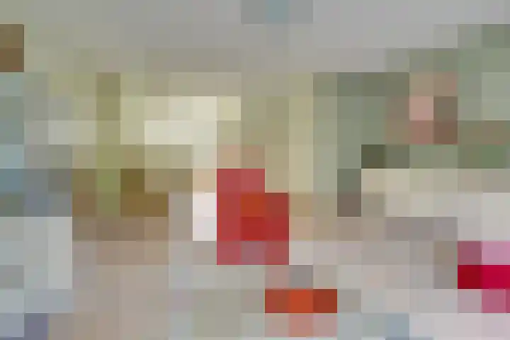 Viswater 17 Houten thumbnail 7