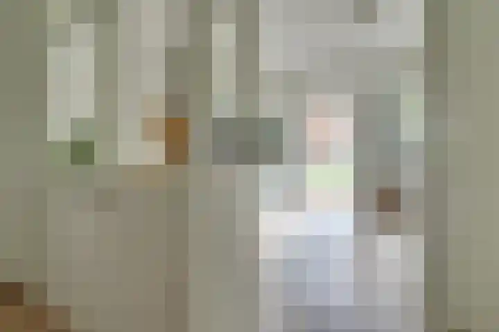 Viswater 17 Houten thumbnail 8