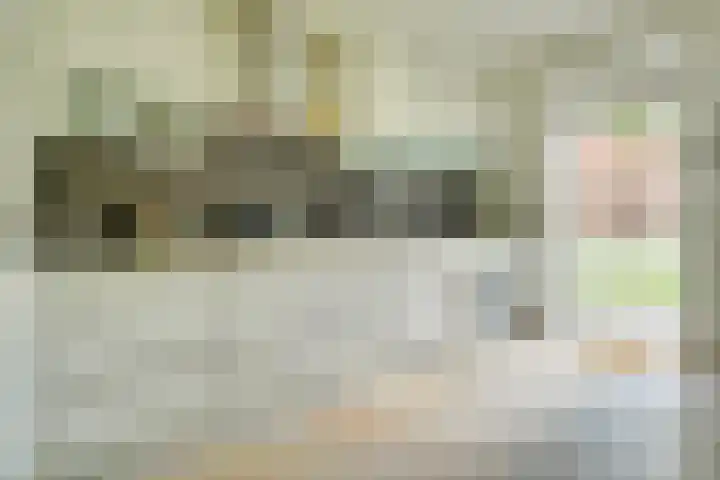 Viswater 17 Houten thumbnail 9