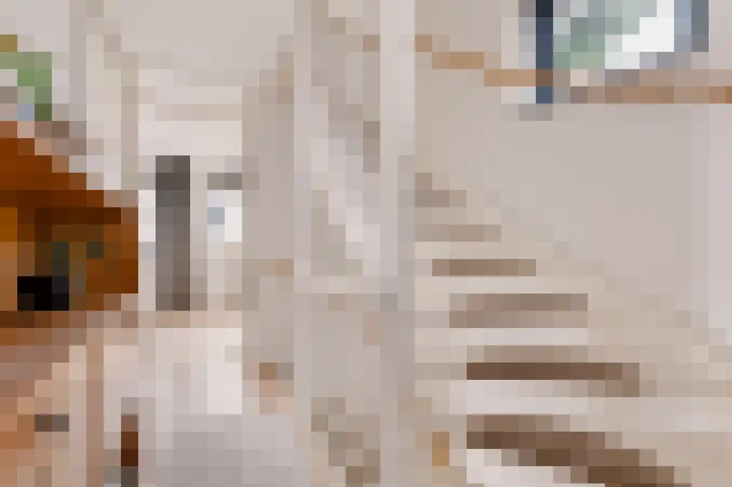Viswater 36 Houten thumbnail 32