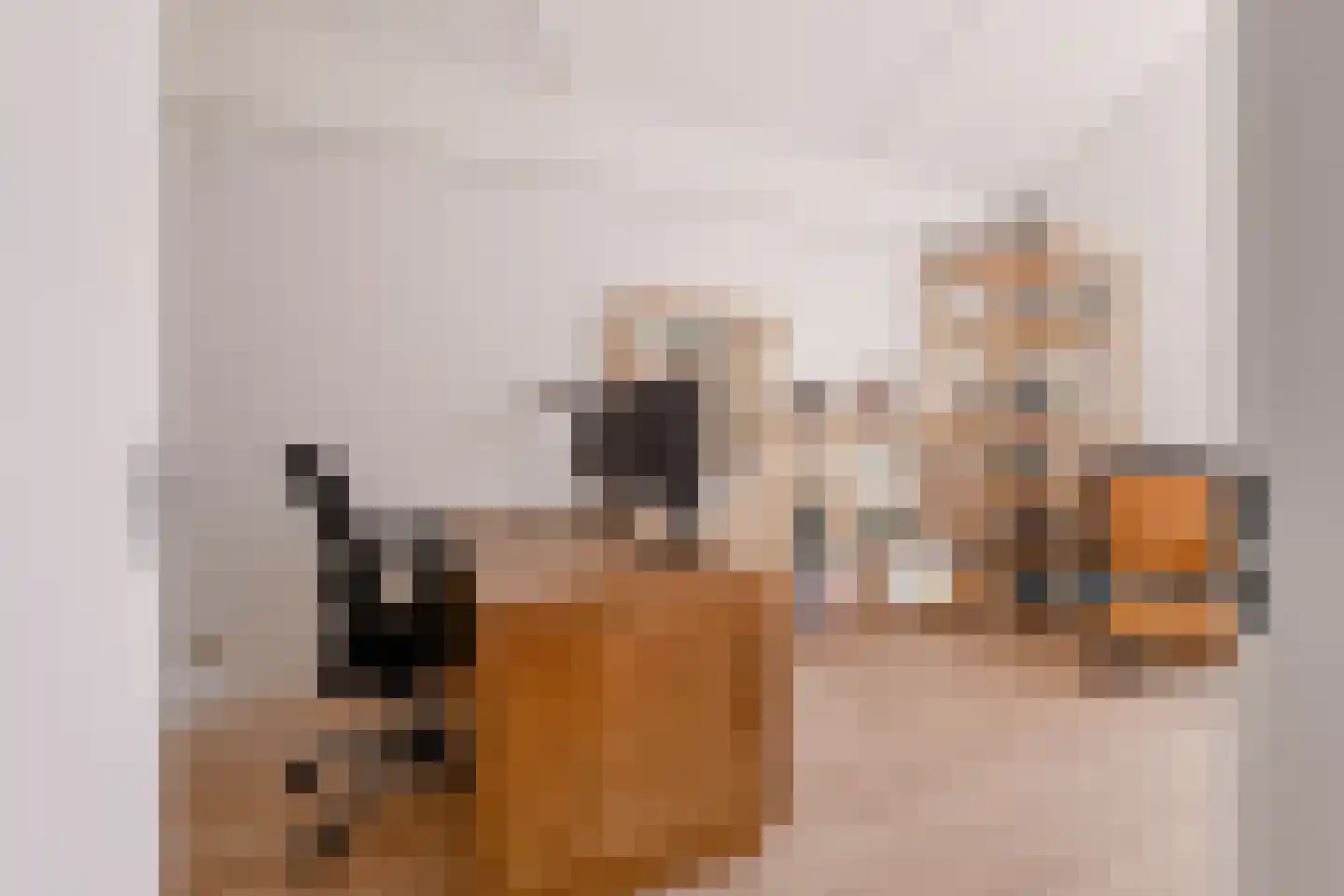 Viswater 36 Houten thumbnail 37