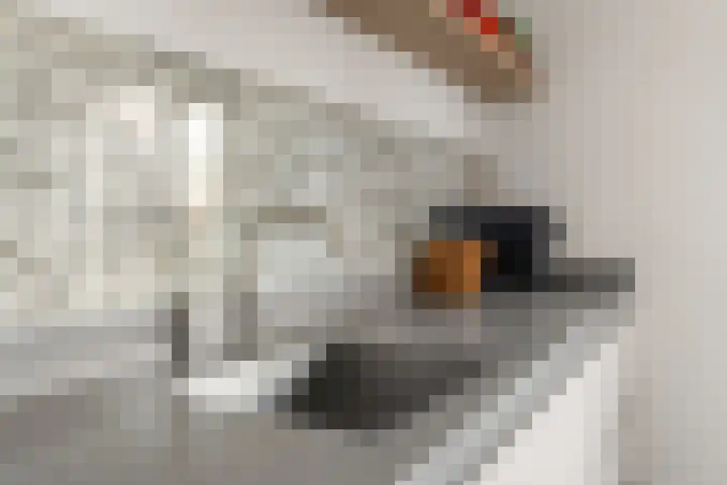 Viswater 59 Houten thumbnail 13