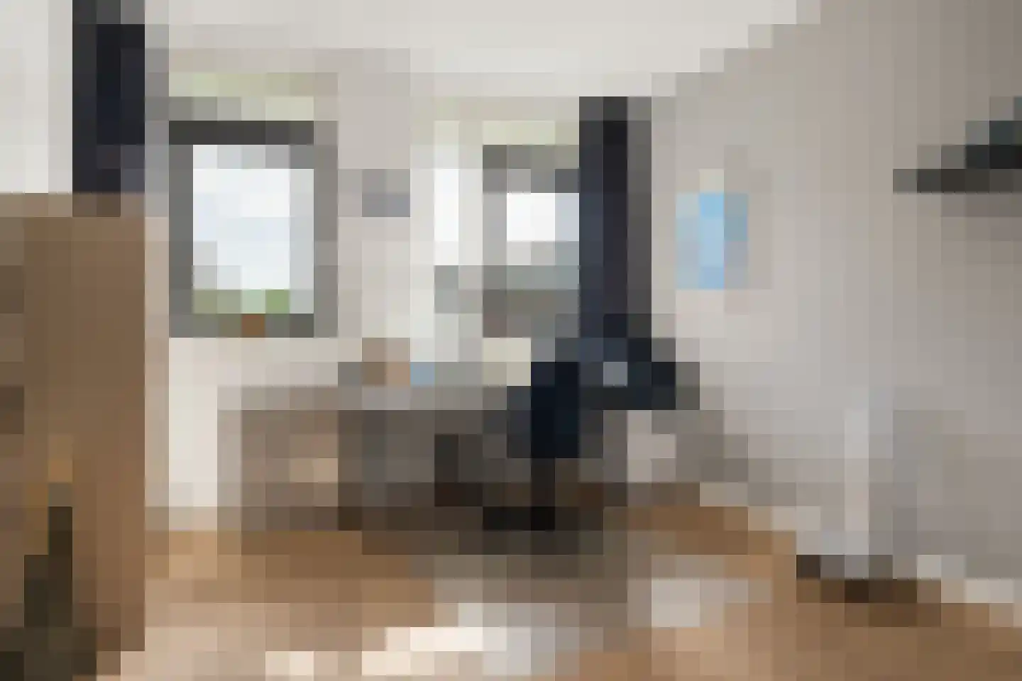Viswater 59 Houten thumbnail 21