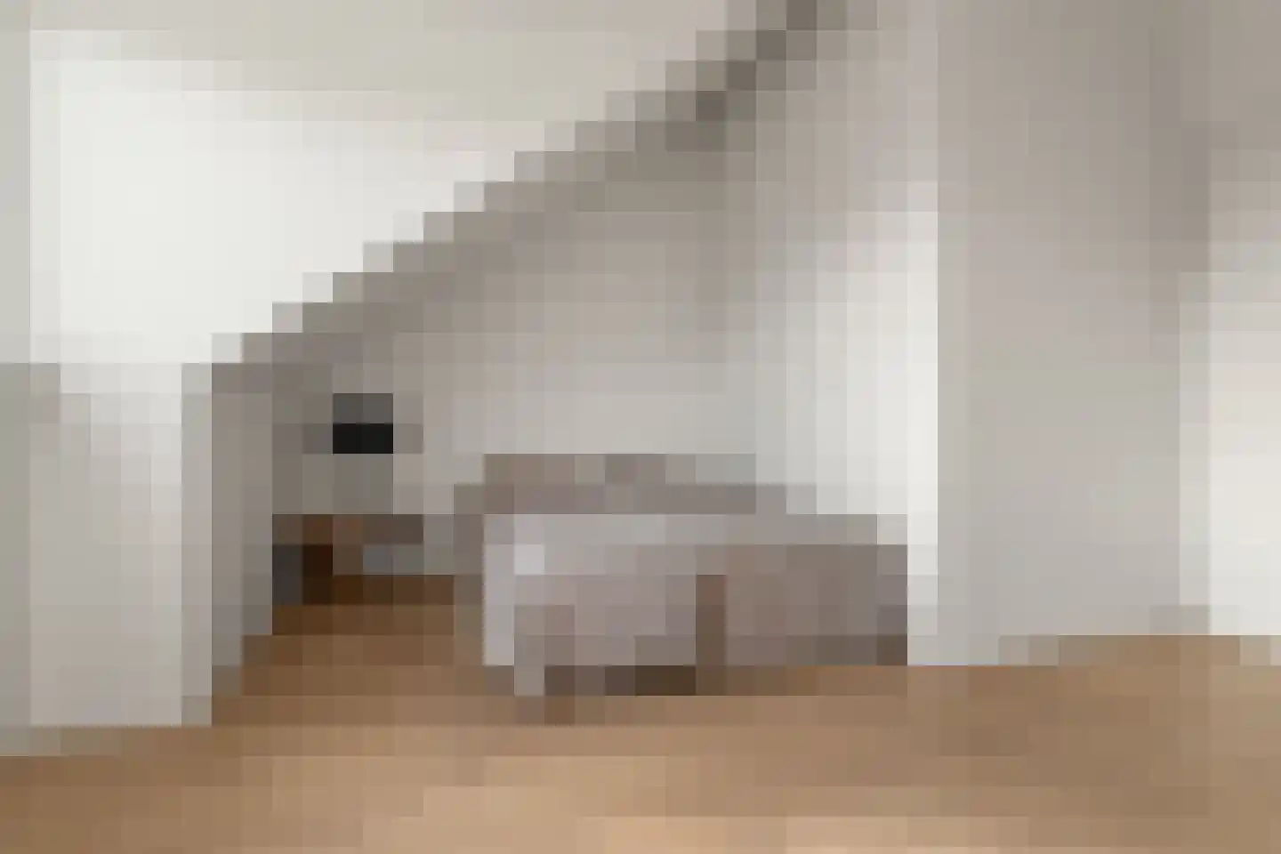 Viswater 59 Houten thumbnail 30