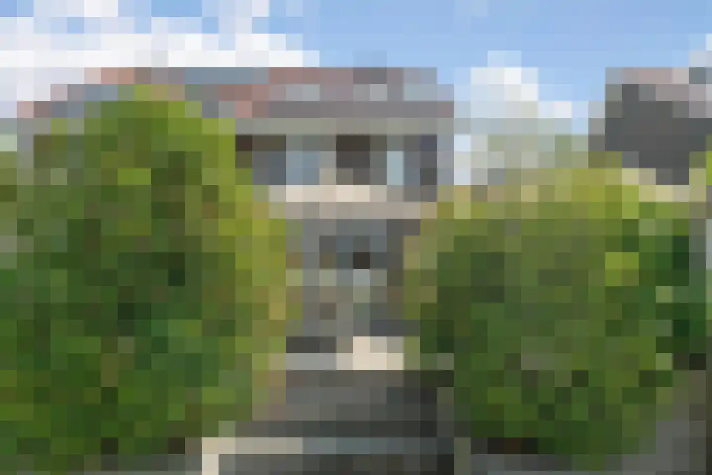 Viswater 59 Houten thumbnail 34