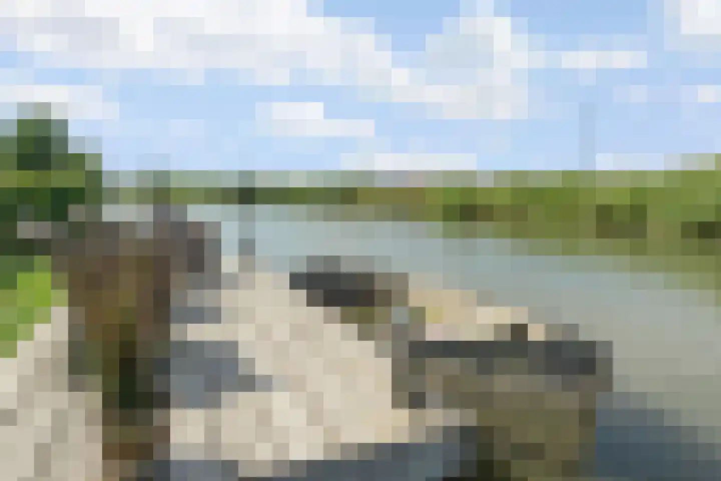 Viswater 59 Houten thumbnail 36