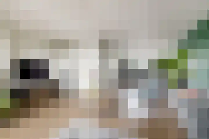 Viswater 61 Houten thumbnail 10