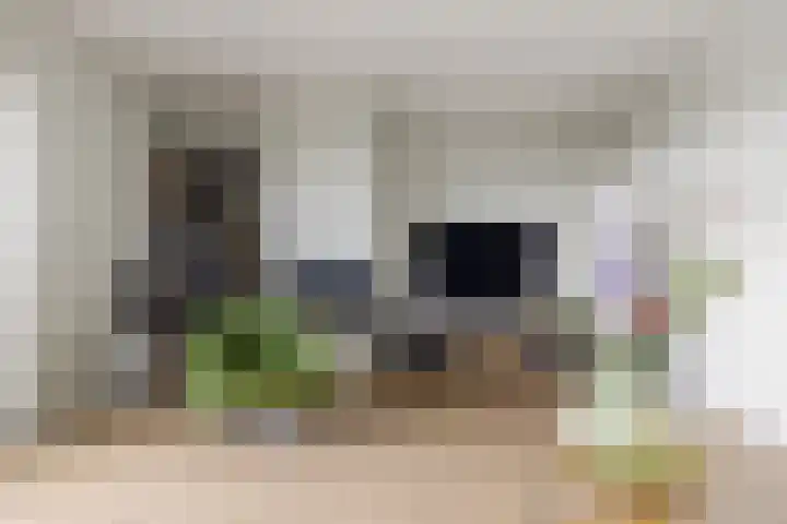 Viswater 61 Houten thumbnail 12