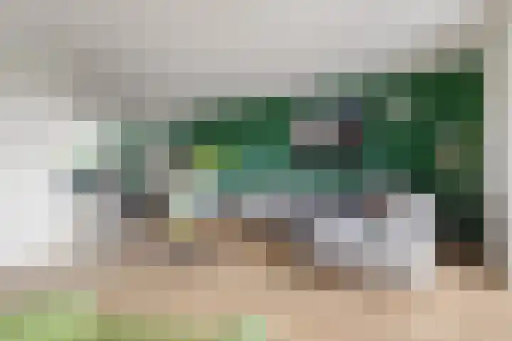 Viswater 61 Houten thumbnail 13