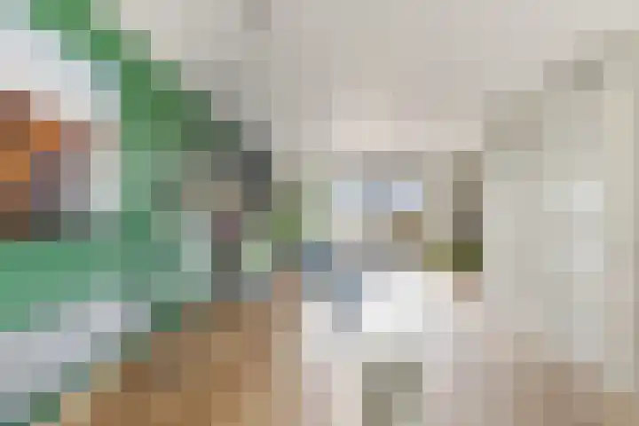 Viswater 61 Houten thumbnail 15