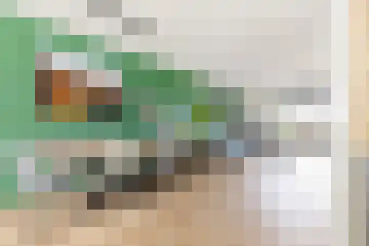 Viswater 61 Houten thumbnail 16