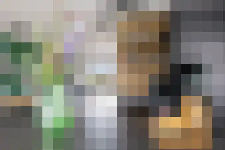Viswater 61 Houten thumbnail 20