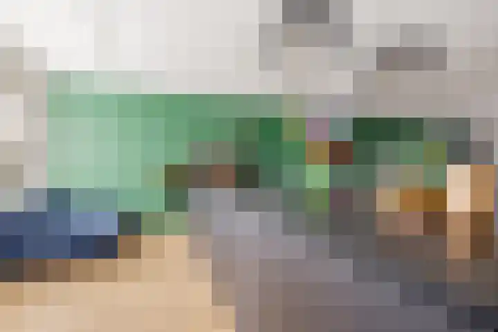 Viswater 61 Houten thumbnail 21