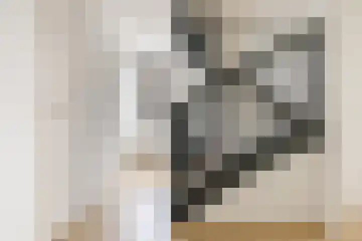 Viswater 61 Houten thumbnail 23