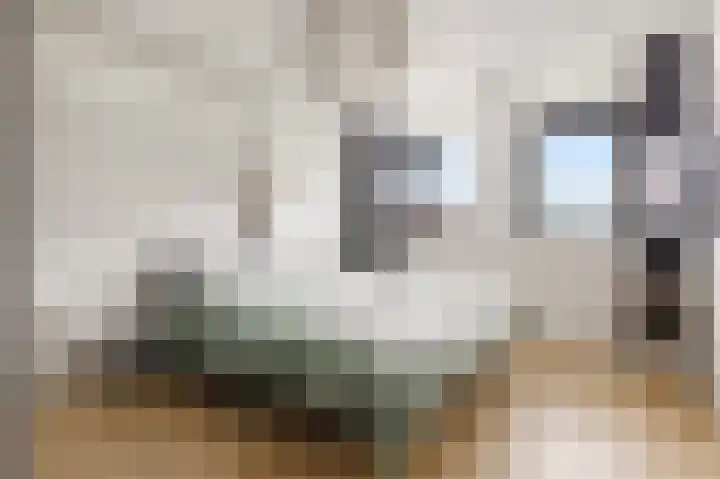 Viswater 61 Houten thumbnail 24