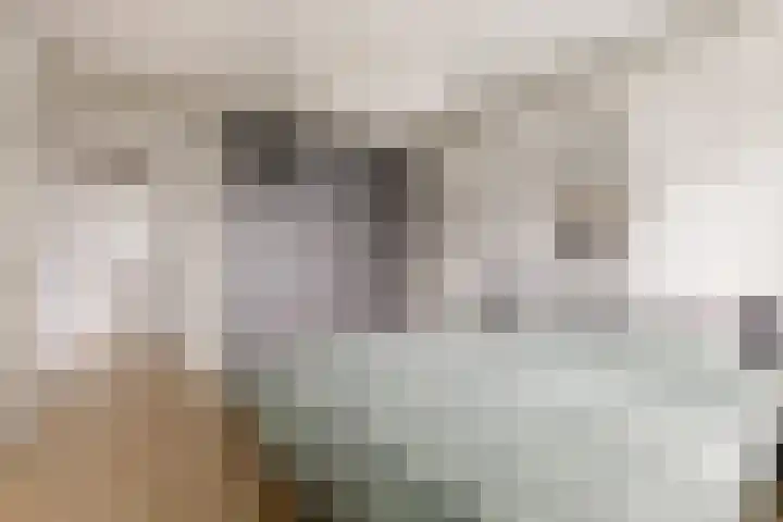 Viswater 61 Houten thumbnail 25