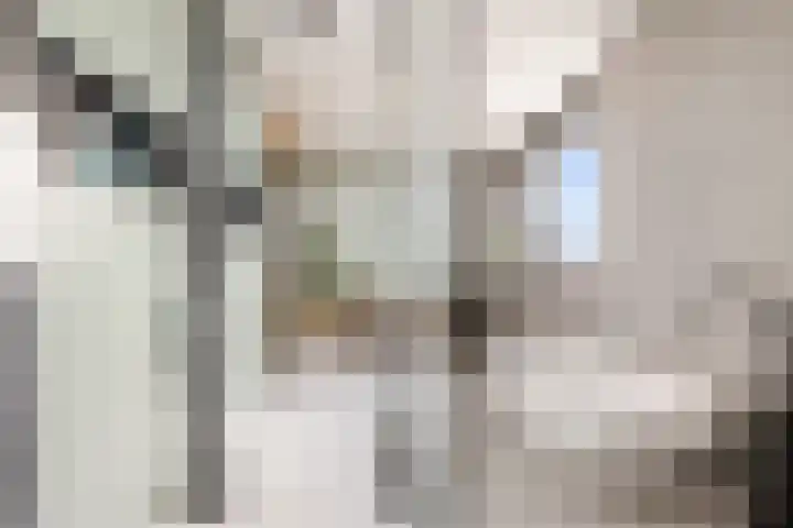 Viswater 61 Houten thumbnail 26