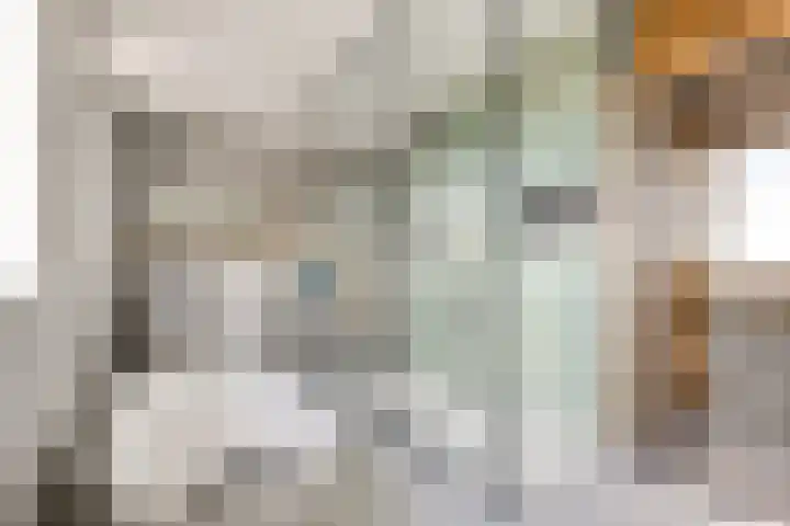 Viswater 61 Houten thumbnail 27