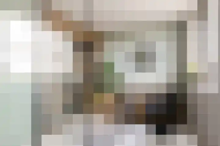 Viswater 61 Houten thumbnail 29
