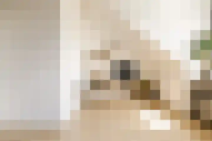 Viswater 61 Houten thumbnail 35