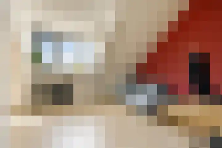 Viswater 61 Houten thumbnail 37