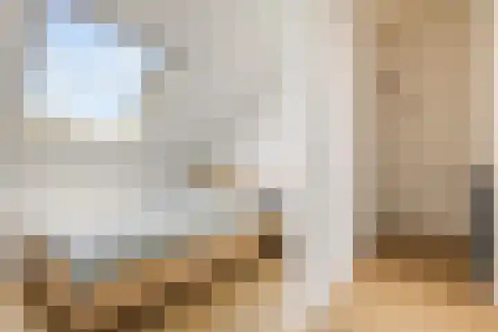 Viswater 61 Houten thumbnail 38