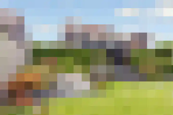 Viswater 61 Houten thumbnail 40