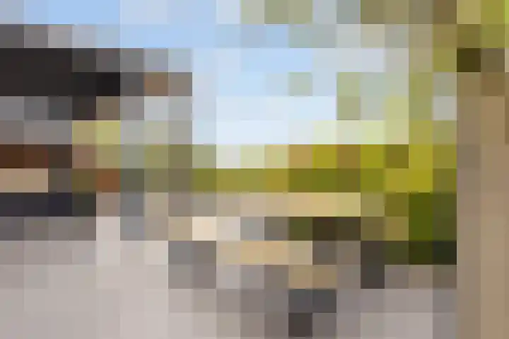 Viswater 61 Houten thumbnail 45