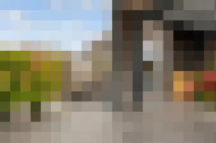 Viswater 61 Houten thumbnail 46