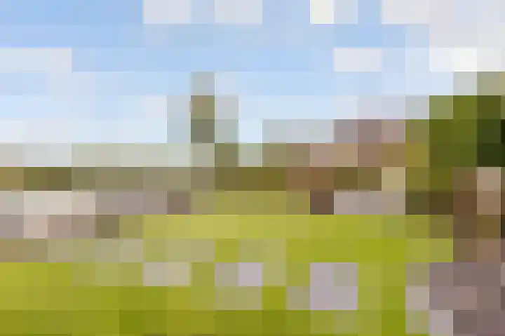 Viswater 61 Houten thumbnail 47