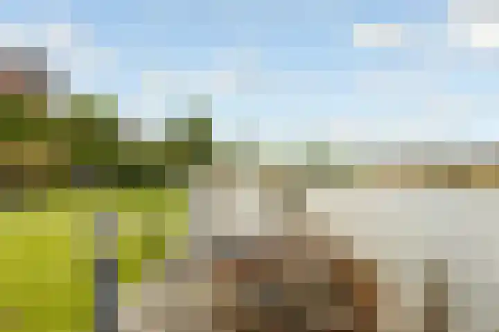 Viswater 61 Houten thumbnail 48