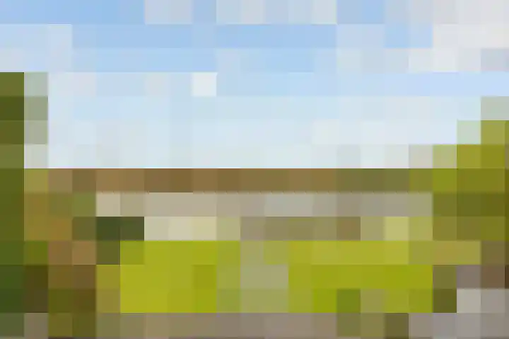 Viswater 61 Houten thumbnail 49