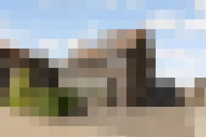 Viswater 61 Houten thumbnail 5