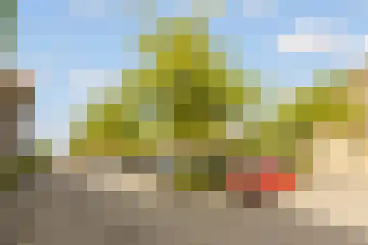 Viswater 61 Houten thumbnail 51