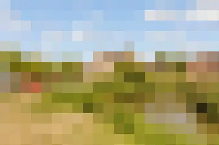Viswater 61 Houten thumbnail 52