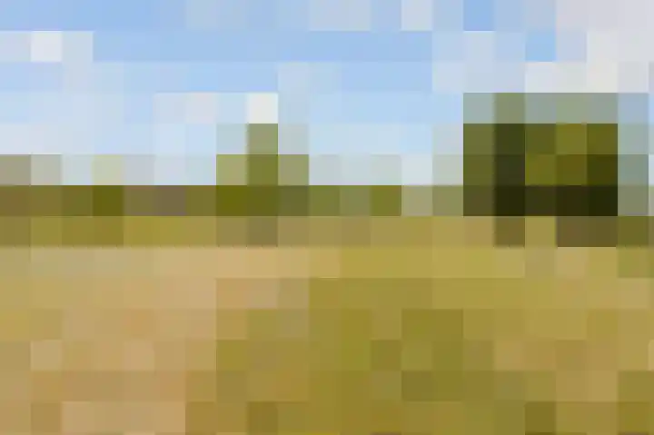 Viswater 61 Houten thumbnail 53
