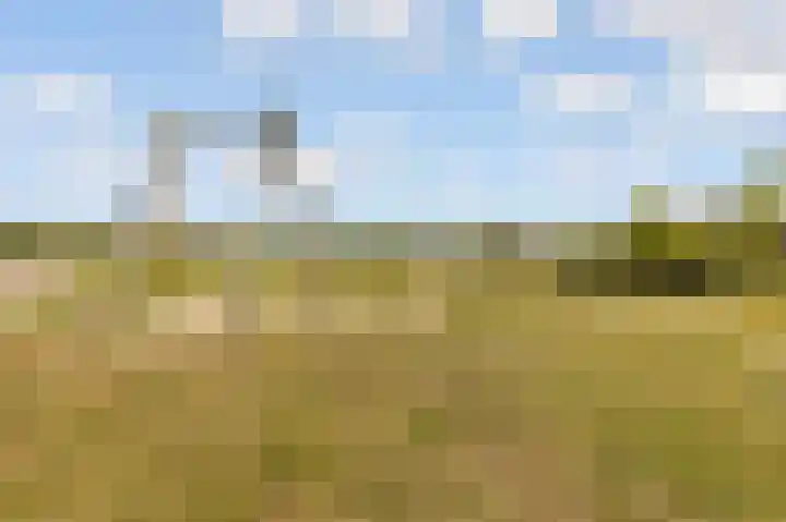 Viswater 61 Houten thumbnail 54