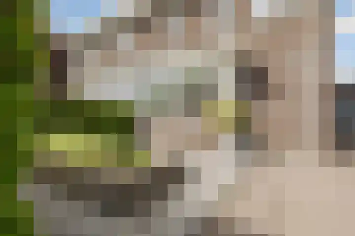 Viswater 61 Houten thumbnail 55