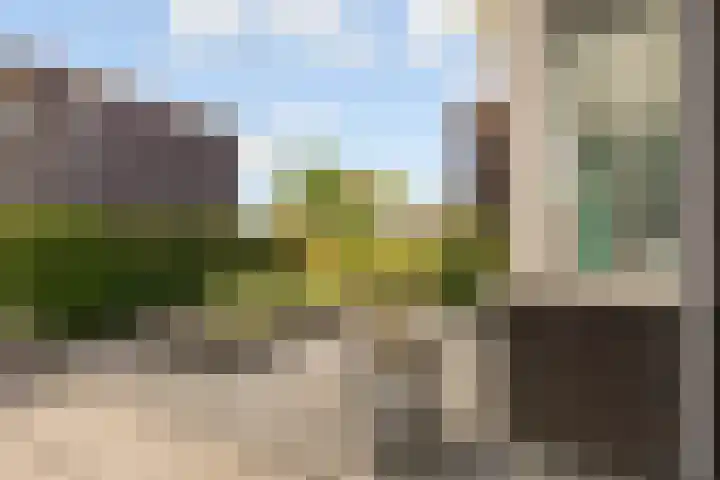 Viswater 61 Houten thumbnail 56