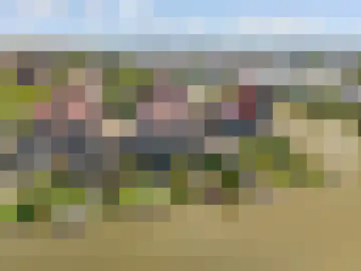 Viswater 61 Houten thumbnail 59