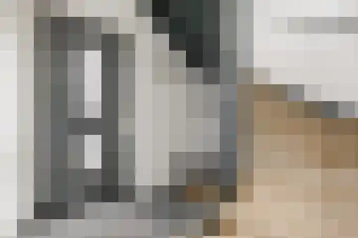 Viswater 61 Houten thumbnail 6