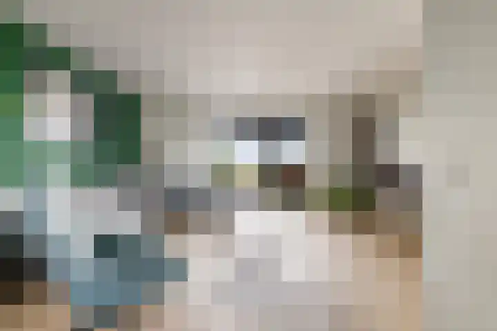 Viswater 61 Houten thumbnail 8