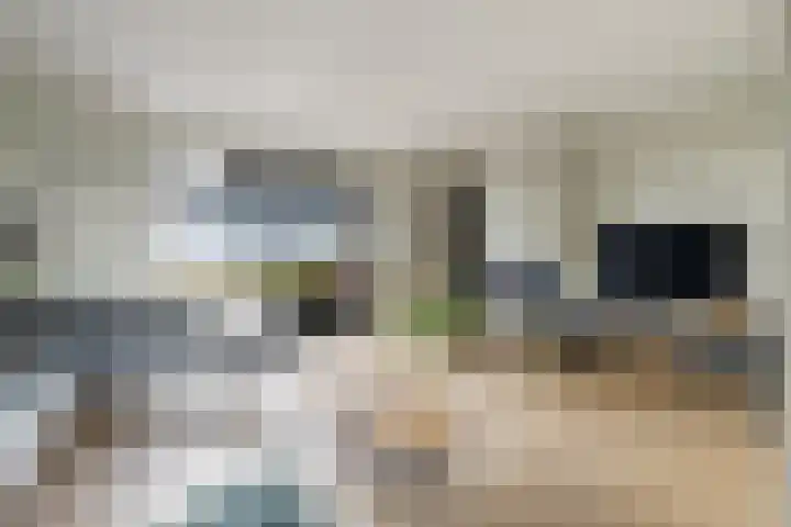 Viswater 61 Houten thumbnail 9