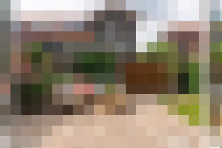 Viswater 74 Houten thumbnail 13