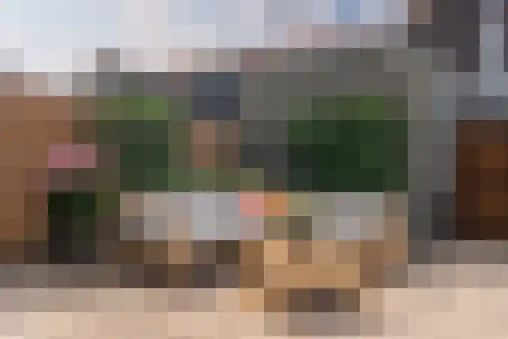 Viswater 74 Houten thumbnail 14