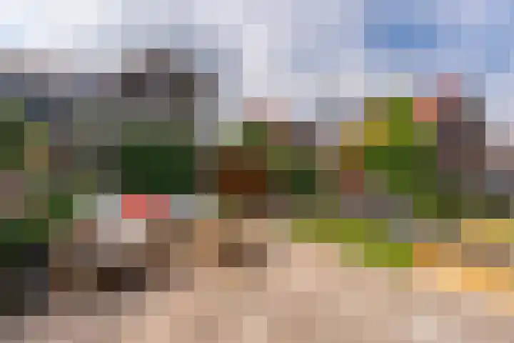 Viswater 74 Houten thumbnail 15