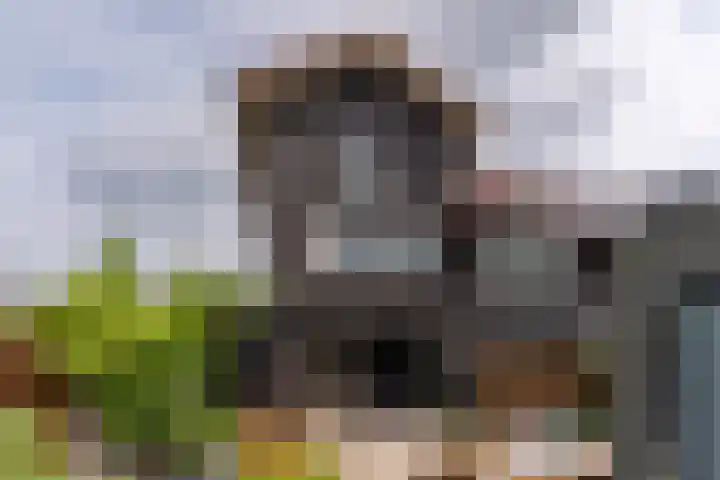 Viswater 74 Houten thumbnail 16